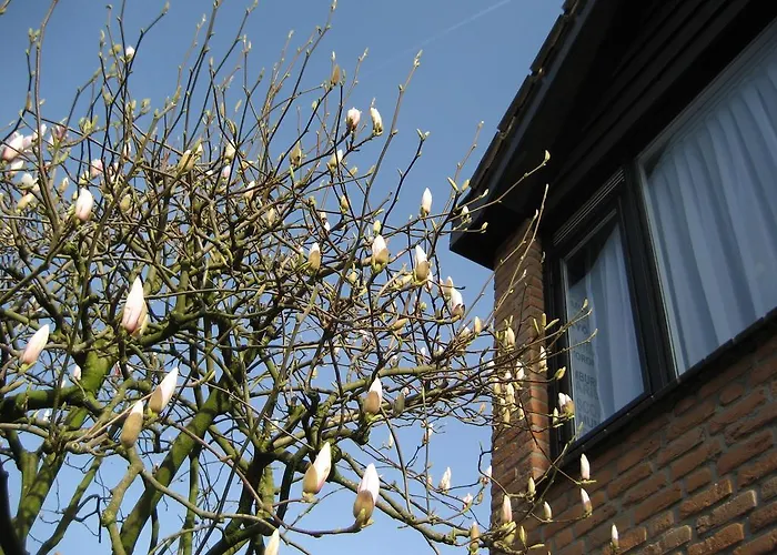 Bed&Breakfast De Mozaiektegel Uden