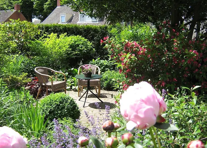 B&B De Esdoorn Norg