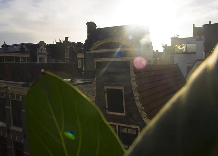 Attic Monkeys Lodge Amsterdam