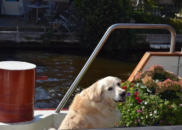 Aurora Bed and Breakfast Schiedam
