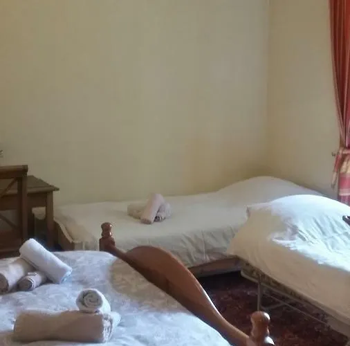 Smitsstraat B&B Eindhoven admite animales