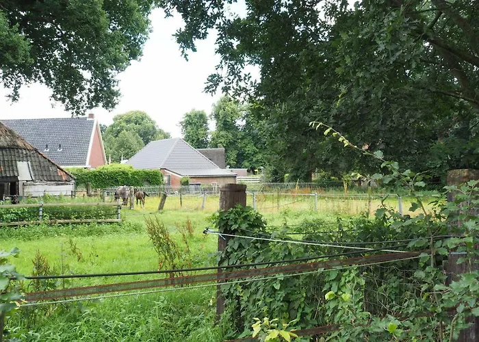 Het Centrum Norg