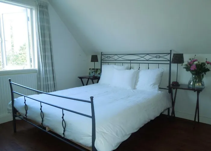 Bed & Breakfast Frans Hals Haarlem