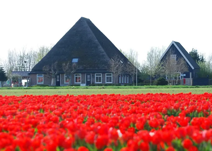 B&B Idylle aan Zee incl 2 Wellnessstudios Sint Maartensvlotbrug