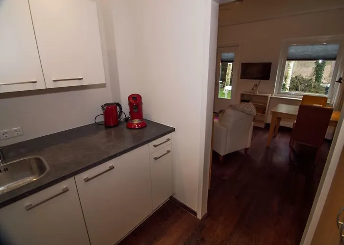 Bed and Breakfast De Vier Berken 2 De Koog 